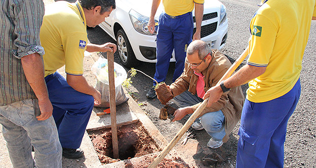 Edio Lopes participa de plantio de árvores junto com funcionários dos Correios