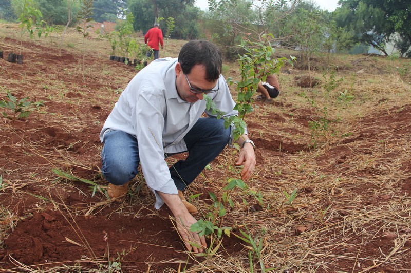 Gerson participa do plantio de 90 árvores frutíferas em área no Campus Ville
