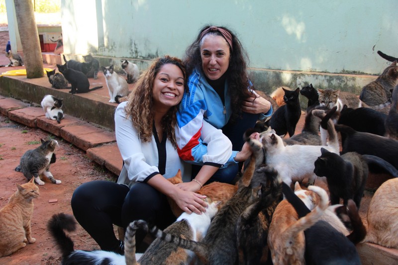 Thainara Faria visita “Santuário dos Gatos” e declara apoio a campanhas