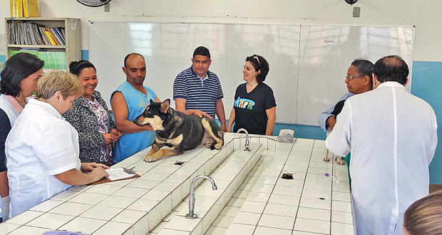Cães e gatos serão castrados em ação da AAPA apoiada pelo vereador Zé Luiz