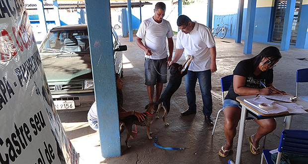 Cães e gatos do Hortênsias começam a ser castrados em ação apoiada pelo vereador Zé Luiz