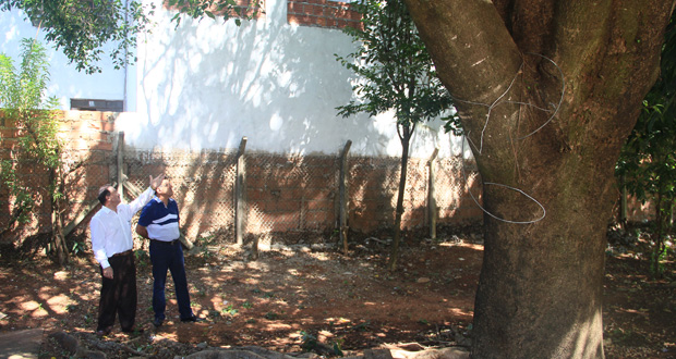 Árvore e cercado causam preocupação no Jardim Brasília