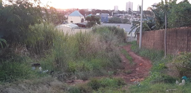 Terrenos com mato, lixo e entulho incomodam moradores do Jardim São Jorge
