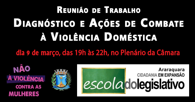 Reunião de Trabalho: diagnóstico e ações de combate à violência doméstica