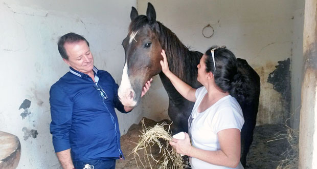 William Affonso acompanha tratamento de cavalos na Unesp de Jaboticabal