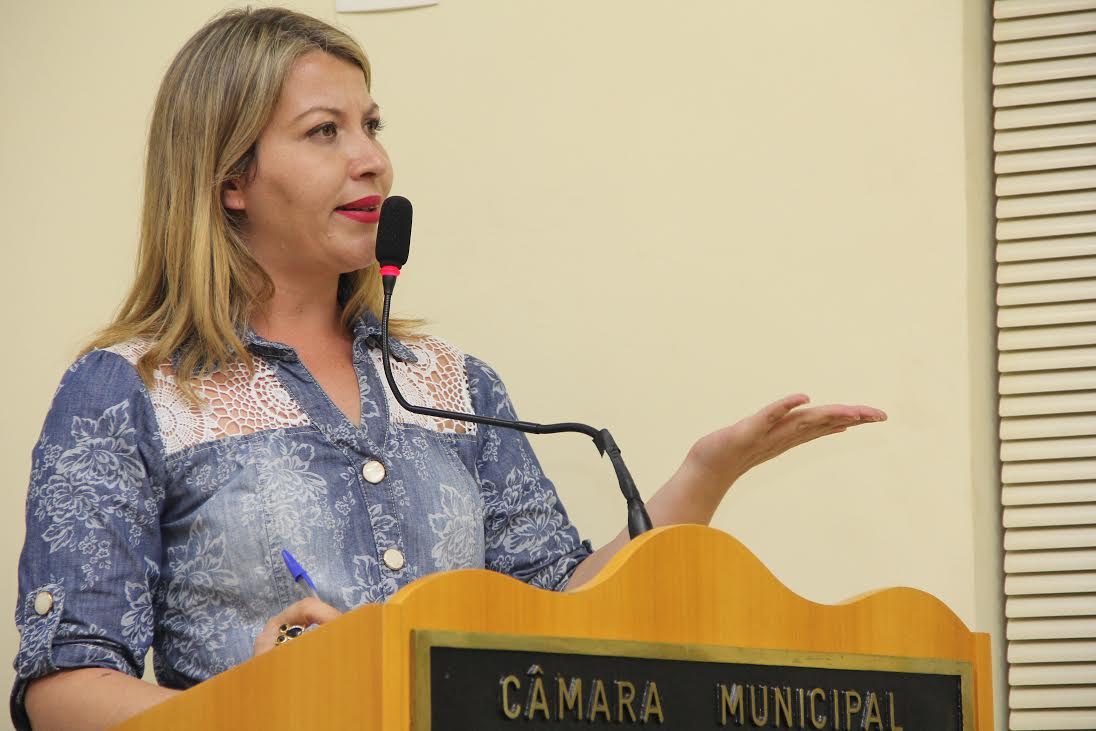 Gabriela Palombo articula debate na Câmara sobre a judicialização da política