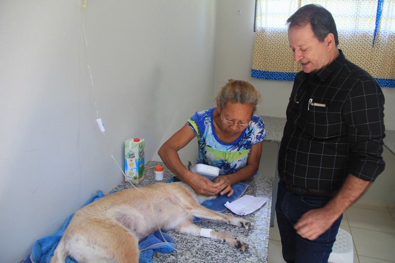 Com mais de 20 mil atendimentos, ambulatório veterinário completa dois anos de atuação