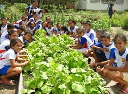 Rafael de Angeli propõe hortas escolares à Prefeitura de Araraquara