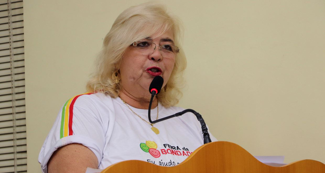 Feira da Bondade da Apae promete movimentar a cidade com novidades