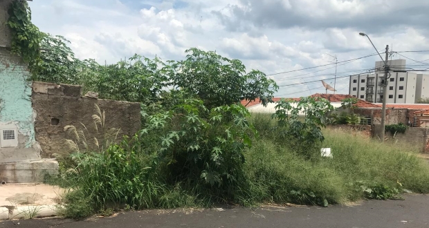 Terrenos que não estiverem limpos em 10 dias serão autuados