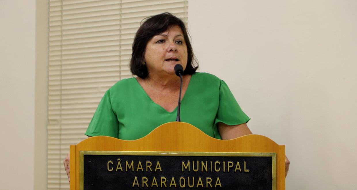 Secretária apresenta panorama dos leitos hospitalares em Araraquara