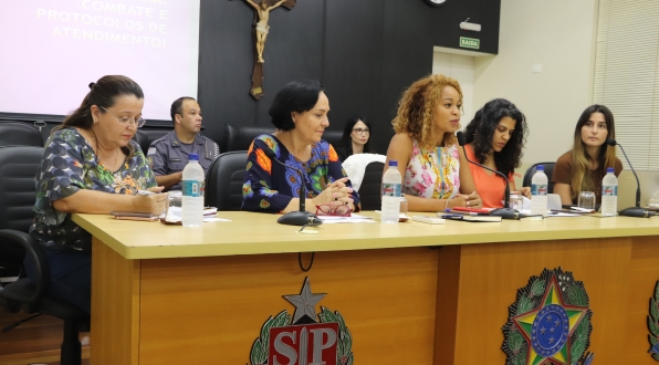 Câmara Municipal discute combate à violência sexual contra meninas e mulheres de Araraquara (com vídeo)